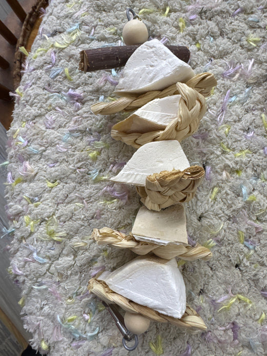 String of cuttlebone with shredders chew toy