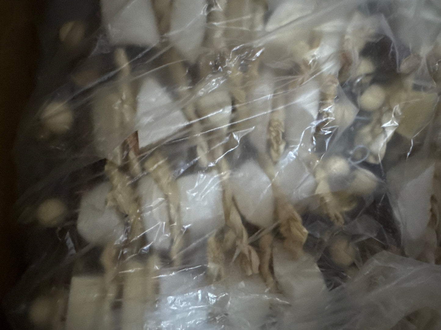 String of cuttlebone with shredders chew toy