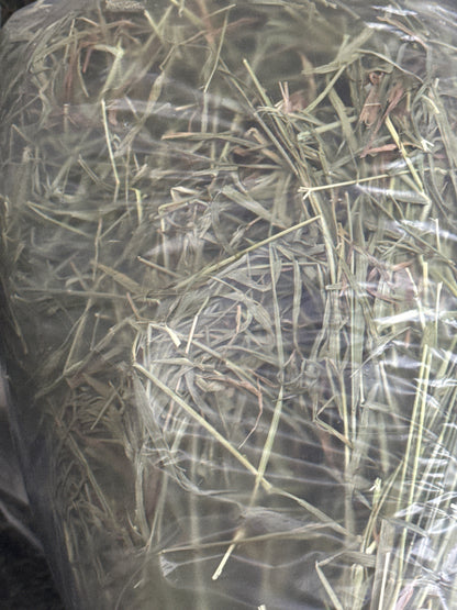 Freshay Timothy Hay from USA (First, second and third cuts)