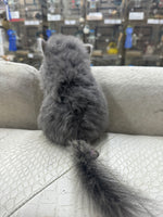 Chinchillas: R034 Violet RPA female for sale (big size genes)