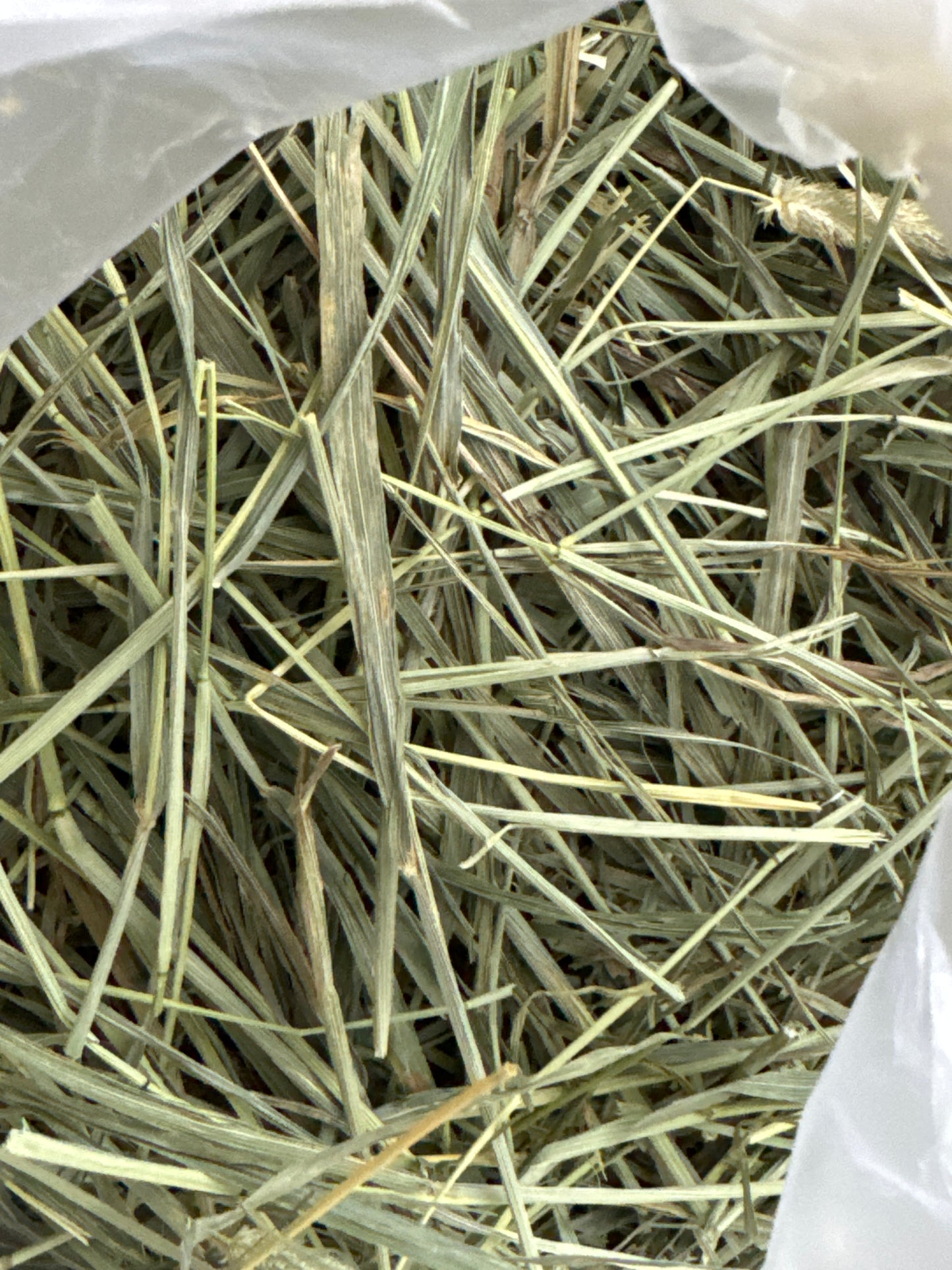 USA second cut Timothy hay 1 kg popular