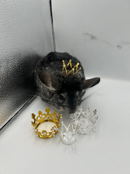 Crown / tiara 3 cm or 5 cm diameter for playtime and photography with small animals like chinchillas, rabbits and guinea pigs