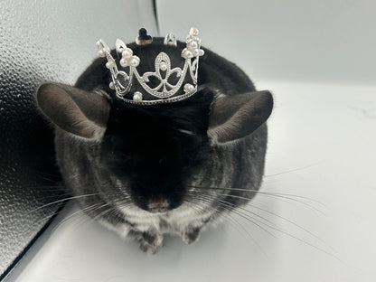 Crown / tiara 3 cm or 5 cm diameter for playtime and photography with small animals like chinchillas, rabbits and guinea pigs