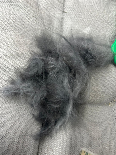 Combing out tangled fur knots from your RPAs / Angora chinchillas during boarding only