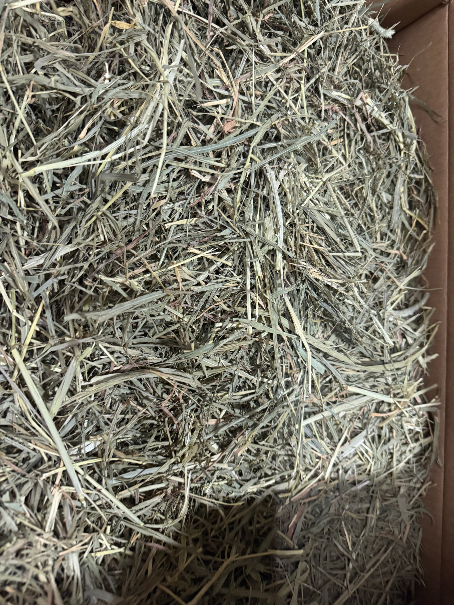 Freshay Timothy Hay from USA (First, second and third cuts)