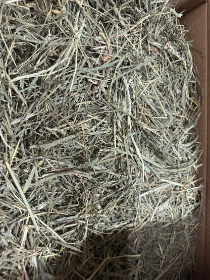 Freshay Timothy Hay from USA (First, second and third cuts)