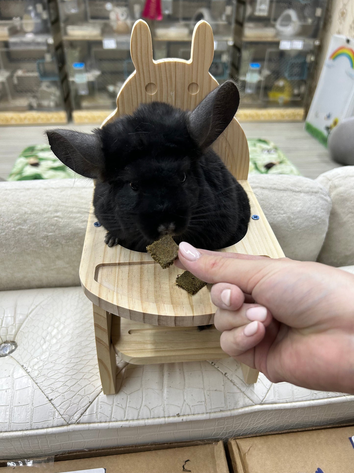 Kiln dried pine wooden toys safe for chinchillas (thicker and drilled) / IQ Interactive Chew Toys / Puzzle Feeders and Boredom Breaker Chew Toys/ Mental Stimulus toys with flip open doors, rotating door to reveal treats, hours of fun and good for teeth