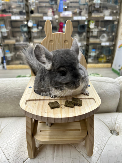 Kiln dried pine wooden toys safe for chinchillas (thicker and drilled) / IQ Interactive Chew Toys / Puzzle Feeders and Boredom Breaker Chew Toys/ Mental Stimulus toys with flip open doors, rotating door to reveal treats, hours of fun and good for teeth