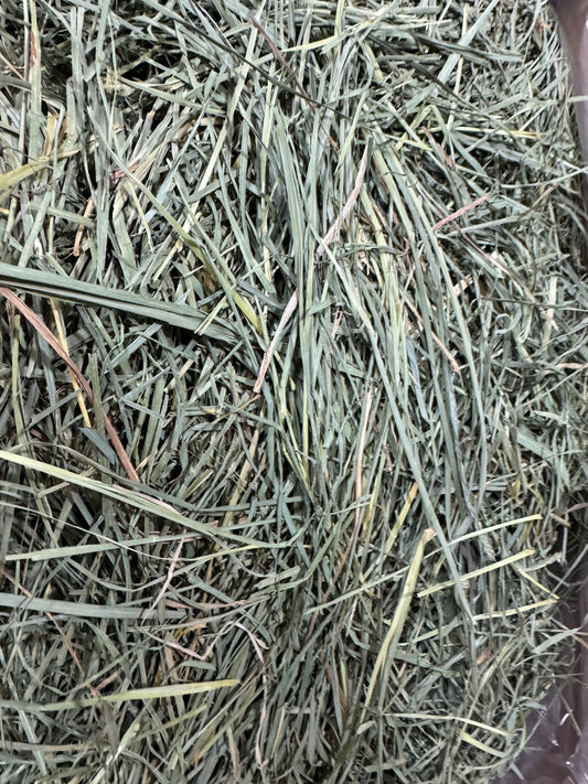 USA Orchard Grass 500g