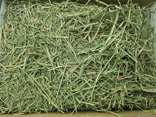 SPS Small Pet Select Third Cut Timothy Hay 5 lbs (2.26 kg) and 10 lbs (4.5kg) Hay