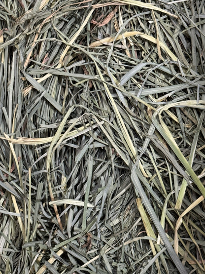 USA Orchard Grass 200g