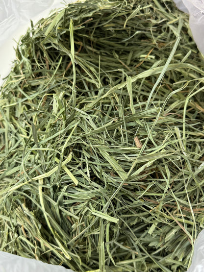 American Pet Diner APD Gold Timothy Hay soft 10/2026 highly palatable/ popular batch (taste test or sample avail) return good hay bits 🙏