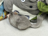 Chinchillas: R001 Beige RPAC (angora carrier) male chinchilla for sale big size baby