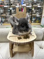 Wooden Furniture for small animals