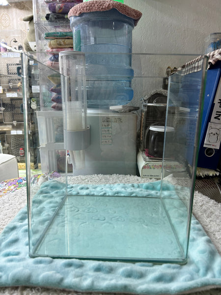 Glass tank for guppies or use as dust house