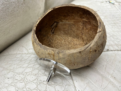 Baked small coconut shell food bowl to hold hay/ food and for gnawing.