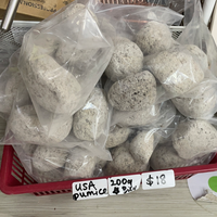 Natural pumice gnaw stones USA