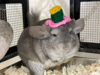 Headgear/ hat/ cap for Chinchillas, Guinea pigs, rabbits or hamsters limited stock