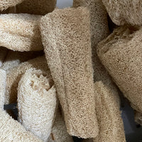 Natural Loofah / luffa For Digestion