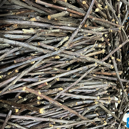 Minnie's Famous Natural Apple Sticks sticks washed, boiled and baked (thin sticks now)