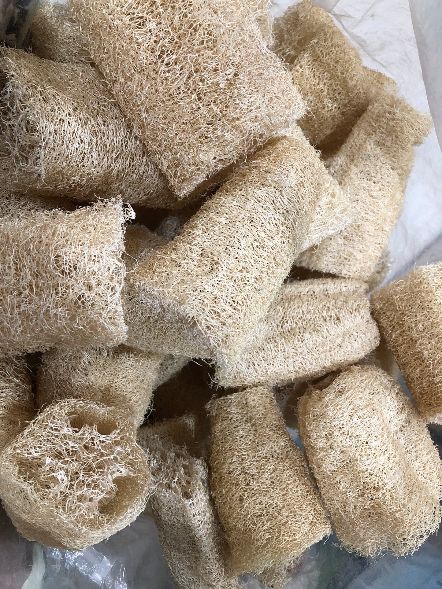 Natural Loofah / luffa and slices for digestion, play and gnawing (binder clip not included)